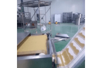 河南化工粉体微波干燥